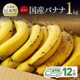 国産バナナ １ｋｇ