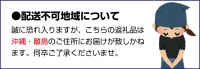 熟南高梅（生梅）2Lサイズ約2kg＜6月中旬から順次発送＞ 