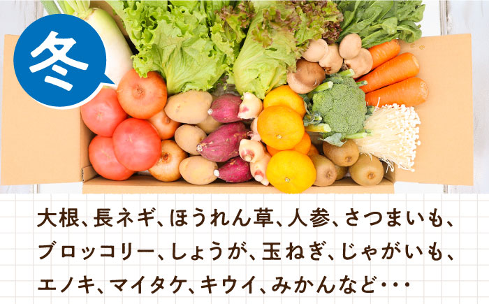 豪華！野菜 セット 15品目以上 12回 定期便   野菜 フルーツ きのこ 詰め合わせ 南島原市   吉岡青果 [SCZ019]