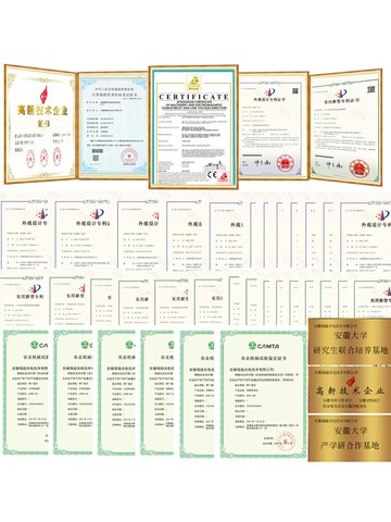 酸棗仁色選機去殼去霉變粒雜質一次選出成品高產量的多功能設備