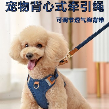 🔥台灣出貨小型犬泰迪比熊博美貴賓背心式透氣可調節狗狗牽引繩 背帶式牽引繩 遛狗繩 狗鏈子牛仔 牽引繩 遛貓繩 狗鏈子