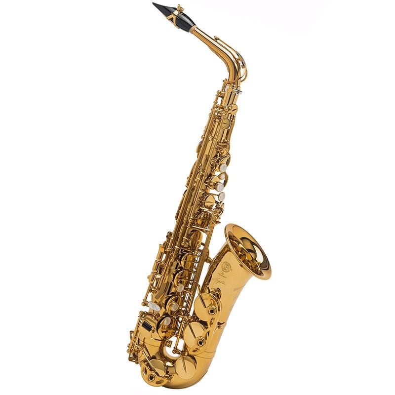 Selmer Paris アルトサックス セルマー Signature シグネチャー DARK SL