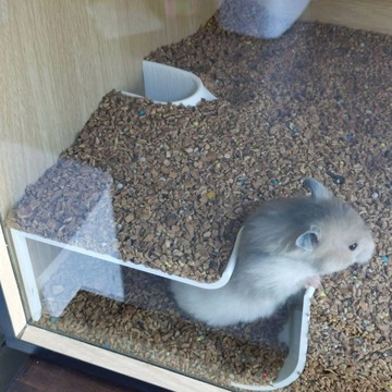 倉鼠躲避屋造景玩具黃金鼠洞穴隧道角落窺探盒金絲熊銀狐布丁侏儒倉鼠躲避屋窺探盒挖掘屋小寵玩具籠子造景魚缸造景