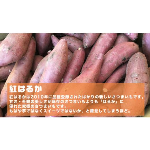 ふるさと納税 茨城県 つくばみらい市 さつまいも 紅はるか ） 5kg  土つき  オーガニック 無農薬 高糖度 肥料不使用 自然栽培 スイー…