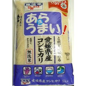 愛媛県産　こしひかり 無洗米　「あらうまい」　5kｇ