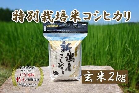 令和5年産｜新潟上越三和産｜特別栽培米コシヒカリ（従来種）2kg（2kg×1）玄米