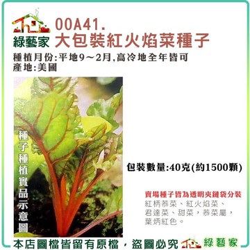 【綠藝家】00A41.大包裝紅火焰菜種子40克(約1500顆) (紅柄菾菜、紅火焰菜、君達菜、甜菜) 葉菜類大包裝