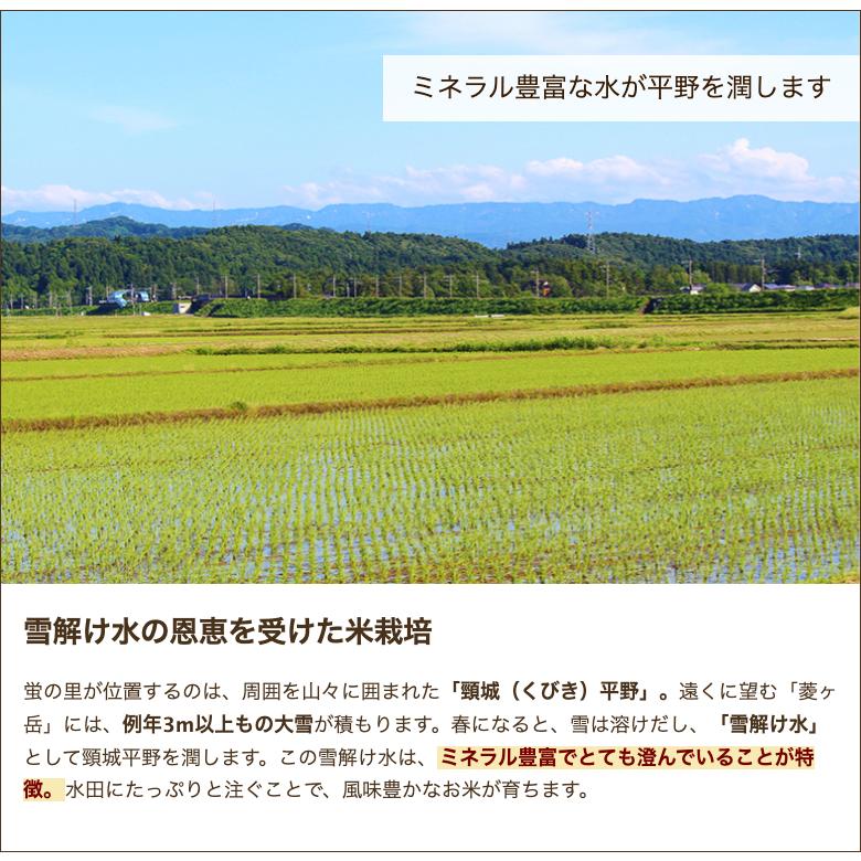 特別栽培米（減農薬・減化学肥料）新潟県産コシヒカリ 精米5kg 株式会社 蛍の里 のし無料 送料無料