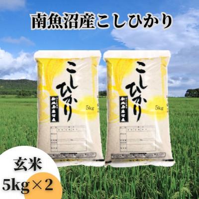 ふるさと納税 南魚沼市 南魚沼産こしひかり　玄米10kg(5kg×2袋)