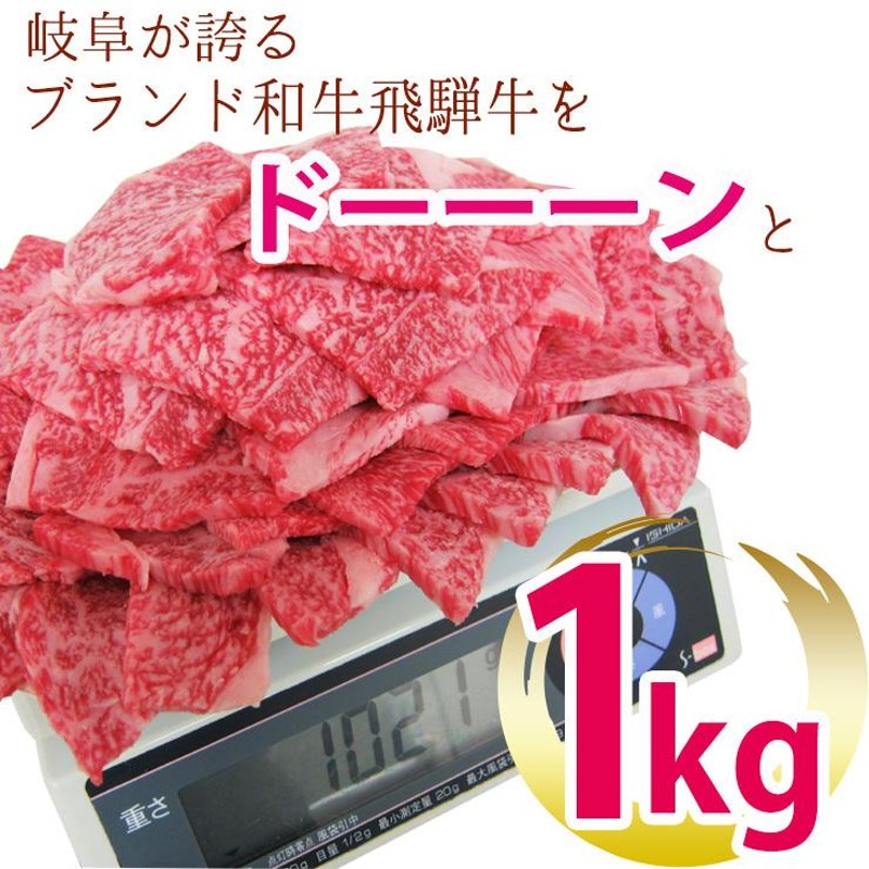 肉 福袋 牛肉 焼肉セット 飛騨牛 メガ盛 カルビ 1kg 約4人〜5人 焼肉