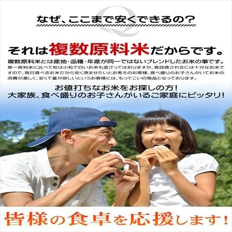 米 15kg 白米 生活応援米 エース 東北産 家庭用 業務用 白米7.5kg×2袋 送料無料