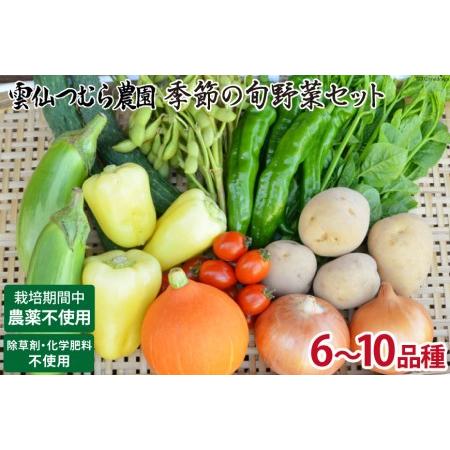 ふるさと納税 季節の旬野菜セット 6〜10品種 詰め合わせ 産地直送   雲仙つむら農園   長崎県雲仙市 長崎県雲仙市