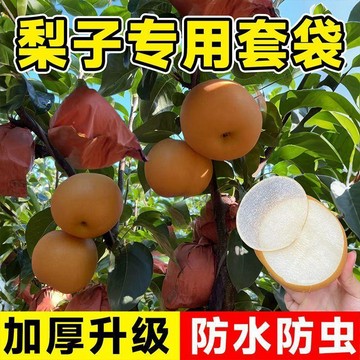 🔥臺灣熱賣⚡️梨子套袋秋月梨水果套袋果蔬袋草莓葡萄桃子專用紙袋防蟲防鳥神器🎉