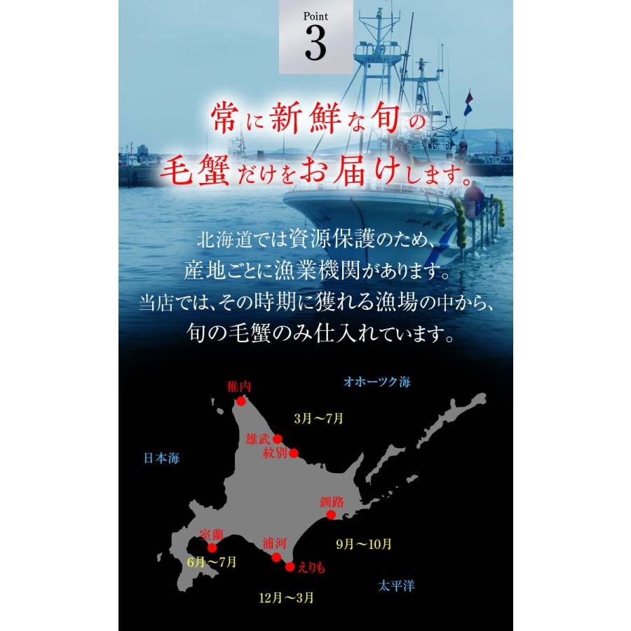 北海道産 活毛がに　500ｇ  中型　毛ガニの美味しさを味わうなら、未冷凍の活け毛蟹。カニ味噌 かに通販 カニお取り寄せ