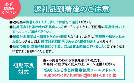 ＜2024年先行予約＞『数量限定』一大産地笛吹市御坂町の藤稔1.1ｋｇ2房入　167-005