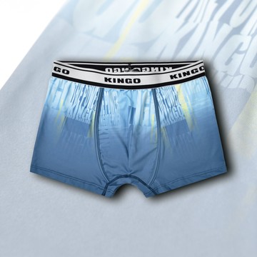 KINGO男款｜快乾涼感合身內褲 541923