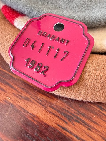 少見古董1982年比利時腳踏車牌 鐵牌 烤漆 擺飾 W858