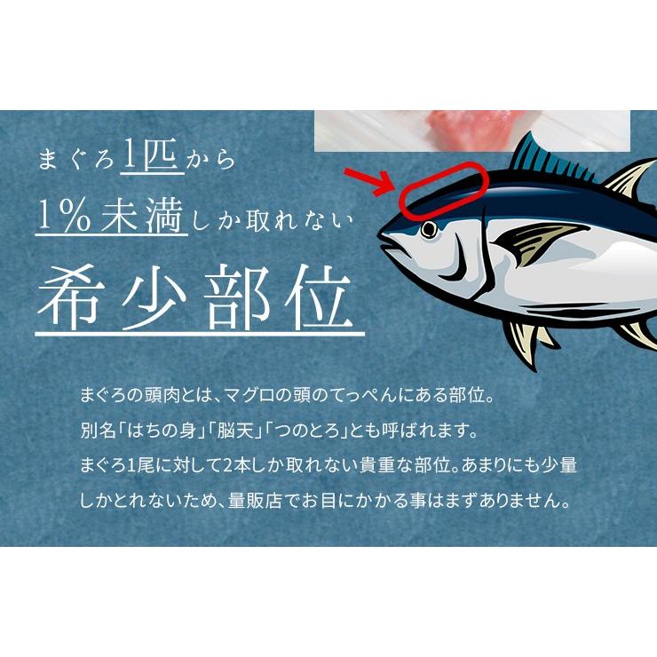 本マグロ頭肉100gパック 刺身 大トロ まぐろ 鮪 つのトロ 脳天《ref-kr8》〈kr1〉yd5[[頭肉100g]