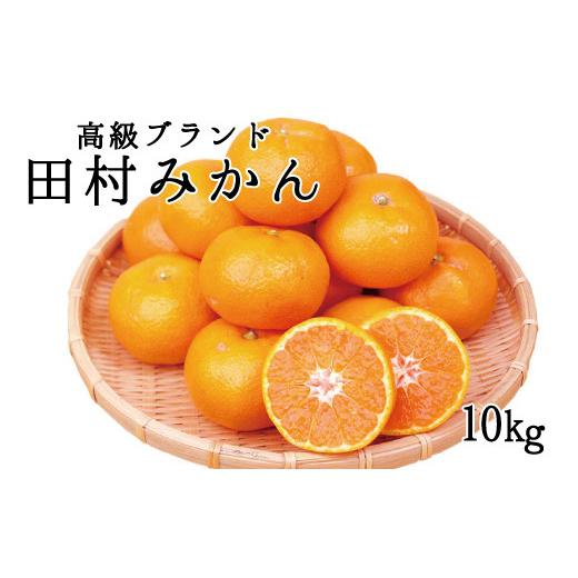 ふるさと納税 和歌山県 太地町 高級ブランド田村みかん　10kg※2023年11月下旬〜2024年1月下旬頃に順次発送予定(お届け日指定不可)