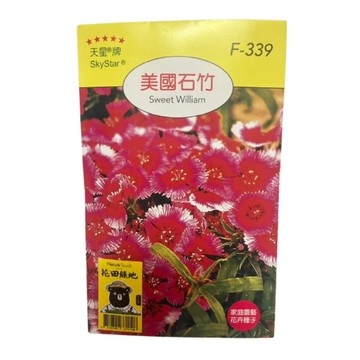 【向花緣】天星牌 美國石竹 - 花卉種子