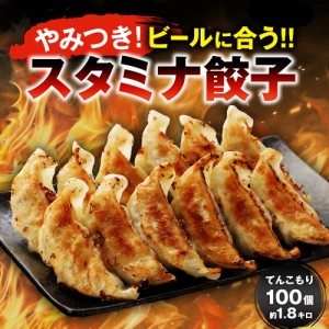 【スタミナ餃子100個 一龍堂 餃子 生餃子 ぎょうざ ギョウザ ギョーザ  冷凍餃子 パンチのある風味づくり  生姜 ニンニク にんにく風味強