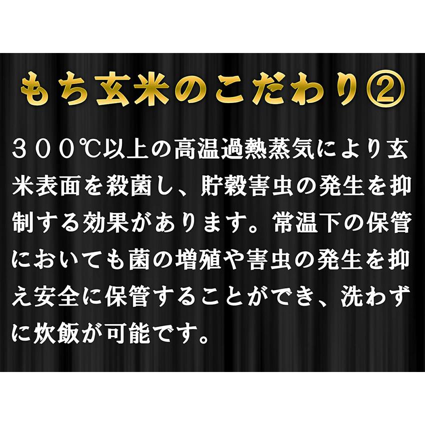 玄米 10kg もち玄米 無洗米 送料無料 2kg×5 国内産 米 10キロ