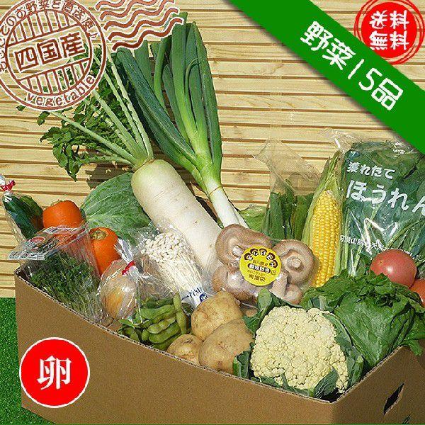 産直あきんど厳選野菜の詰め合わせ15品セット たまご10個セット