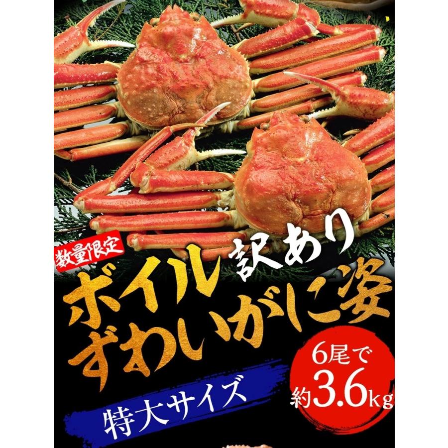 訳あり ボイル ズワイガニ 姿 特大 6尾 約3.6kg ズワイガニ ギフト お歳暮 かに カニ 蟹