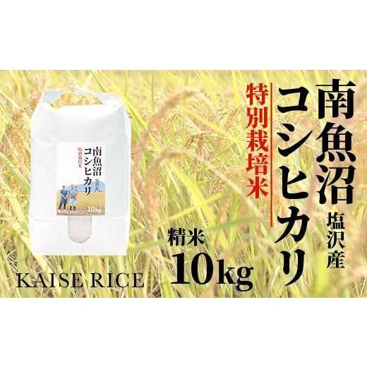 ふるさと納税 新潟県 南魚沼市 南魚沼産塩沢コシヒカリ（特別栽培米８割減農薬）精米１０ｋｇ×全１２回