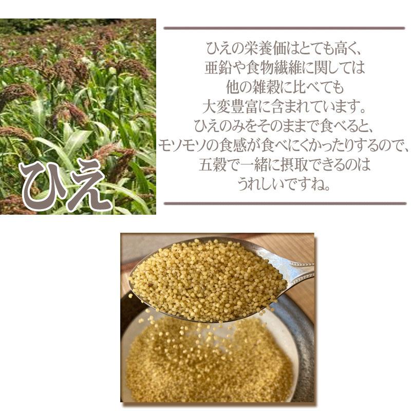 雑穀 農薬不使用・化学肥料不使 山形県小国町産 おぐにの雑穀[ひえ 160g×2袋 L2]  送料無料 メール便 ゆうパケ 即送