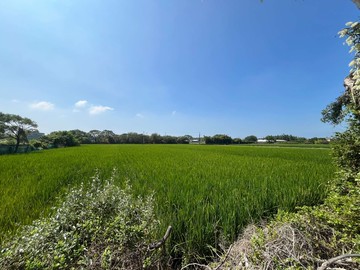 台68交流道計畫周遭臨路方正麻園農地｜新竹縣竹北市麻園