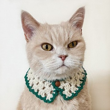 貓咪蕾絲圍脖 象牙色與綠色 羊毛編織