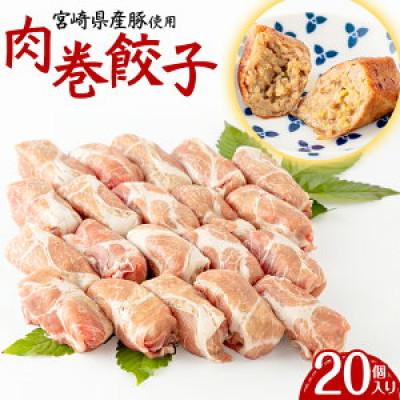 ふるさと納税 宮崎市 宮崎県産豚使用 肉巻餃子 20個入り(宮崎市)