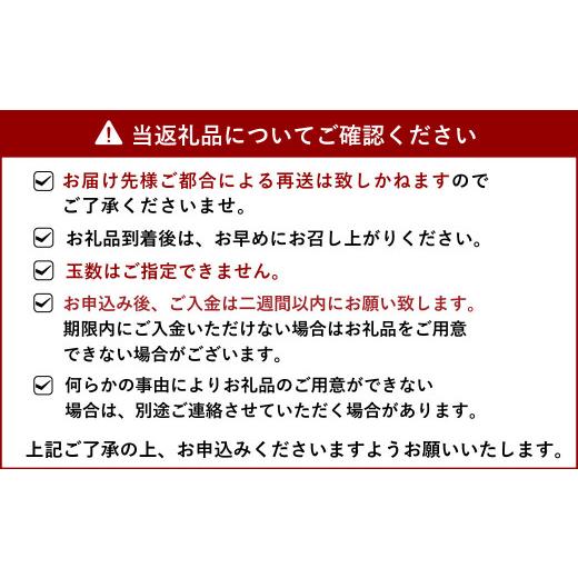 ふるさと納税 熊本県 宇城市 宇城市産 不知火・デコポン 約3kg（9〜10玉）