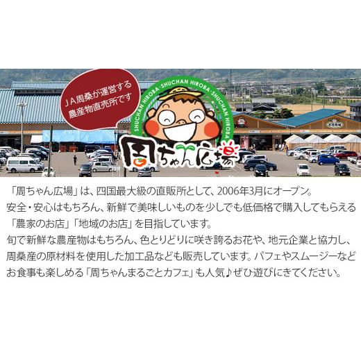 ふるさと納税 愛媛県 西条市 愛媛県西条産「吟選  あんぽ柿（８個）」（JA周桑）横野柿 高級柿 周ちゃん広場 化粧箱