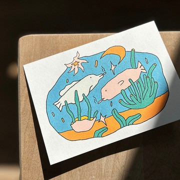 【壞過海豚卡】 / 連信封