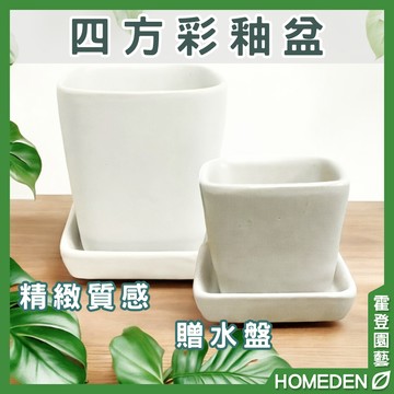 【隔日到貨】四方彩釉盆 3吋盆適用 正方盆 陶瓷 花盆 花器 多肉花盆 仙人掌花盆 居家盆栽【HOMEDEN霍登園藝】