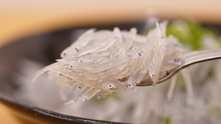 どろめ!釜あげちりめん!特製たれ・薬味セット(4人前)