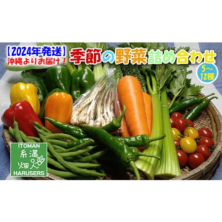 ふるさと納税 沖縄よりお届け！季節の野菜詰め合わせ（5〜12種類） 沖縄県糸満市