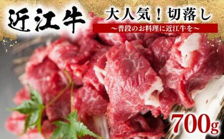  黒毛和牛 切り落とし 700g  12月13日までのご寄付で年内配送可能 和牛 国産 和牛 ブランド 和牛 三大和牛 三代 和牛 黒毛和牛 黒毛 和牛 近江牛 和牛 滋賀県 和牛 竜王町 和牛 産地直送 和牛 岡喜 和牛