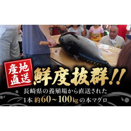 ふるさと納税 ＜累計19,000件突破＞長崎県産 本マグロ「中トロ」(約700g) まぐろ マグロ 中トロ 鮪 まぐろ マグロ さしみ 刺身 刺し身 マグロ .. 長崎県東彼杵町