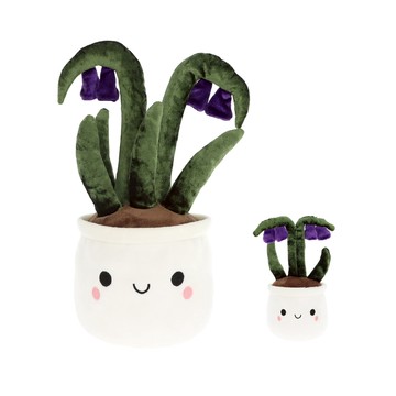 Flower Bobballs Bluebell 藍鈴花盆栽