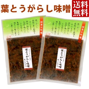 葉とうがらし味噌 160g×2袋 送料無料 メール便