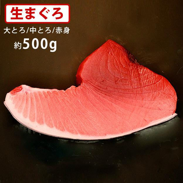 送料無料　本まぐろ（大とろ 中とろ 赤身）約500g　血合・皮付きブロック 生マグロ　マグロ専門卸会社直送