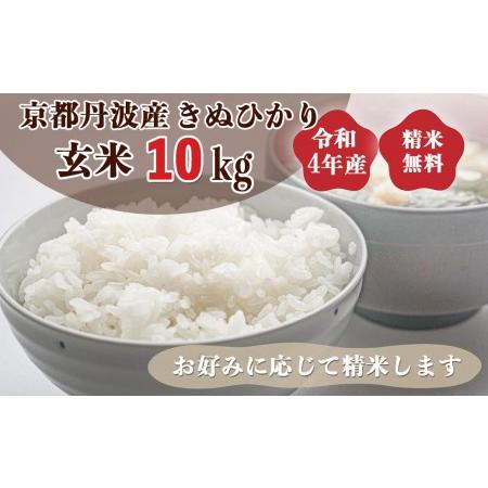 ふるさと納税 新米 令和5年産 京都 丹波産 きぬひかり 玄米 10kg（5kg×2袋）≪5つ星お米マイスター 厳選 受注精米可≫ ※離島への配送不可(.. 京都府亀岡市