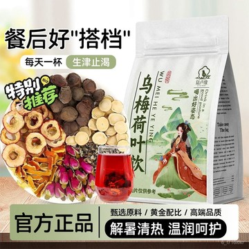 陸盧緣 烏梅山楂荷葉飲 烏梅湯2.0 官方正品代用花茶