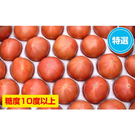 ふるさと納税 ＜2024年7月中旬よりお届け＞「清水農園」旬の野菜の定期便（3回お届け） 北海道壮瞥町