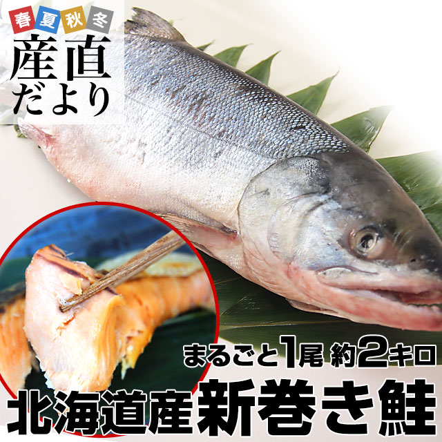 北海道から産地直送　北海道産　新巻き鮭（甘塩）　まるごと1尾　2キロ 送料無料　さけ　サケ　お歳暮　御歳暮　ギフト