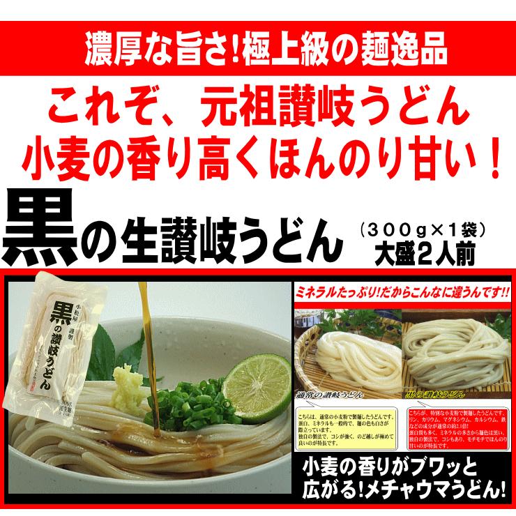 送料無料 うどん 讃岐うどん ぶっかけ醤油と万能めんつゆセット