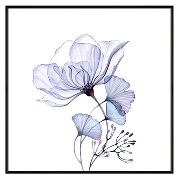 BOLUO GALLERY 菠蘿選畫所 花香紫調 掛畫 BFTF4405B  40 x 40cm  黑色